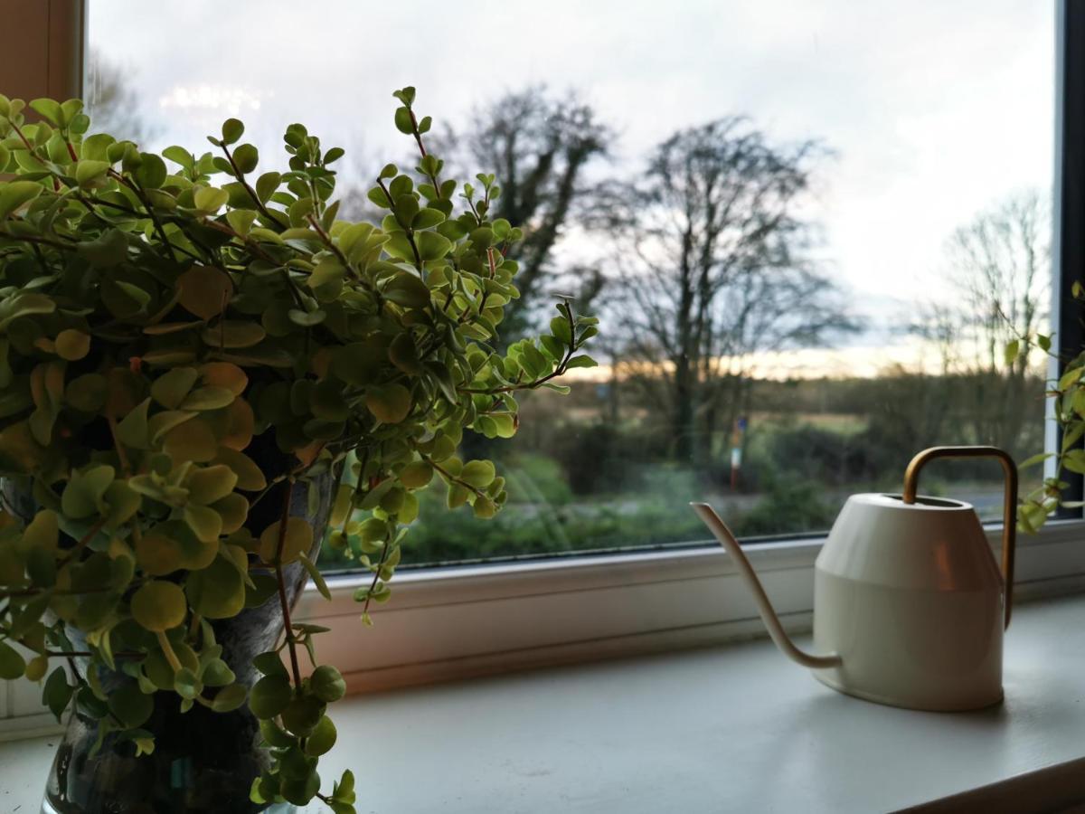 Redbrook Farm Bnb - Gateway To The New Forest Фордингбридж Экстерьер фото