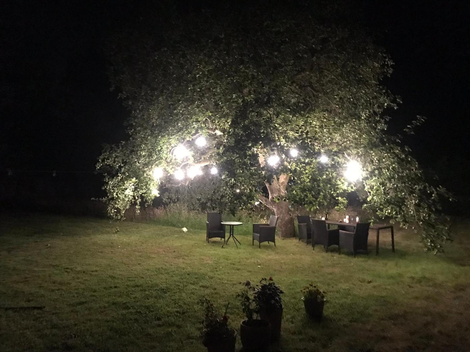 Redbrook Farm Bnb - Gateway To The New Forest Фордингбридж Экстерьер фото