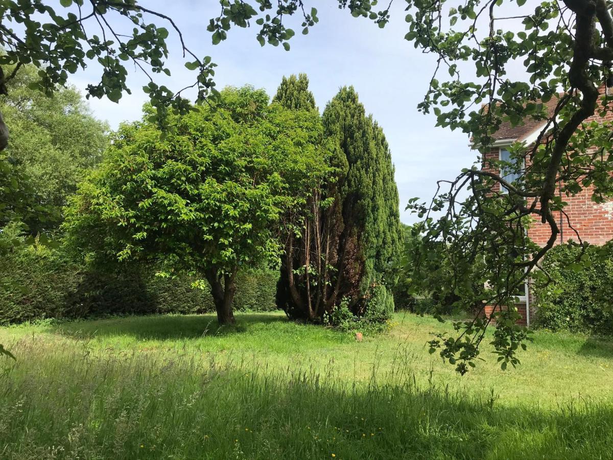 Redbrook Farm Bnb - Gateway To The New Forest Фордингбридж Экстерьер фото